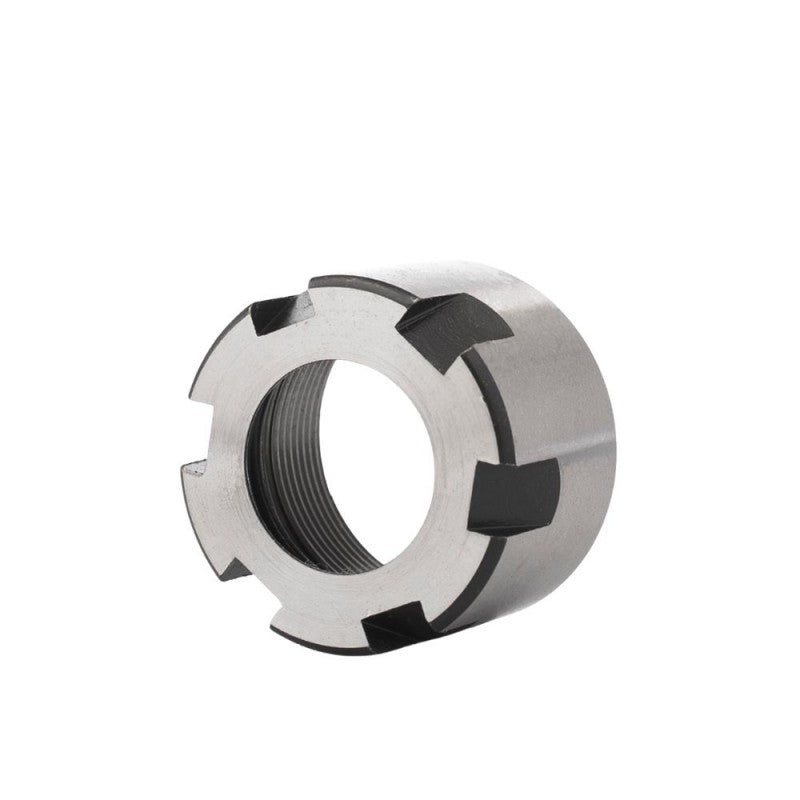 Mini spantangmoeren – Z091